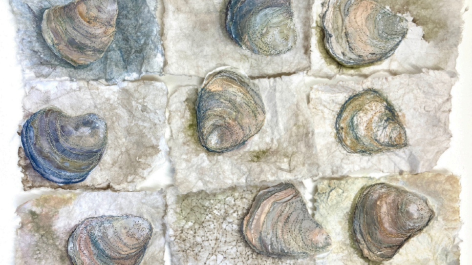 Returning - Shifting seasons on the Solway’s edge