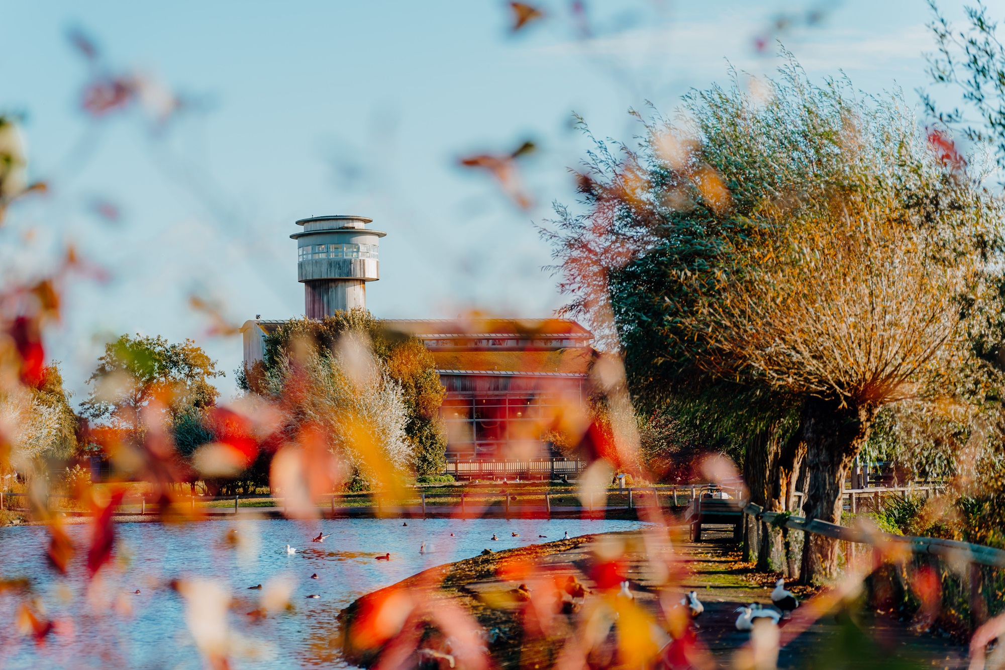 We've won a VisitEngland Gold Accolade for 2025!