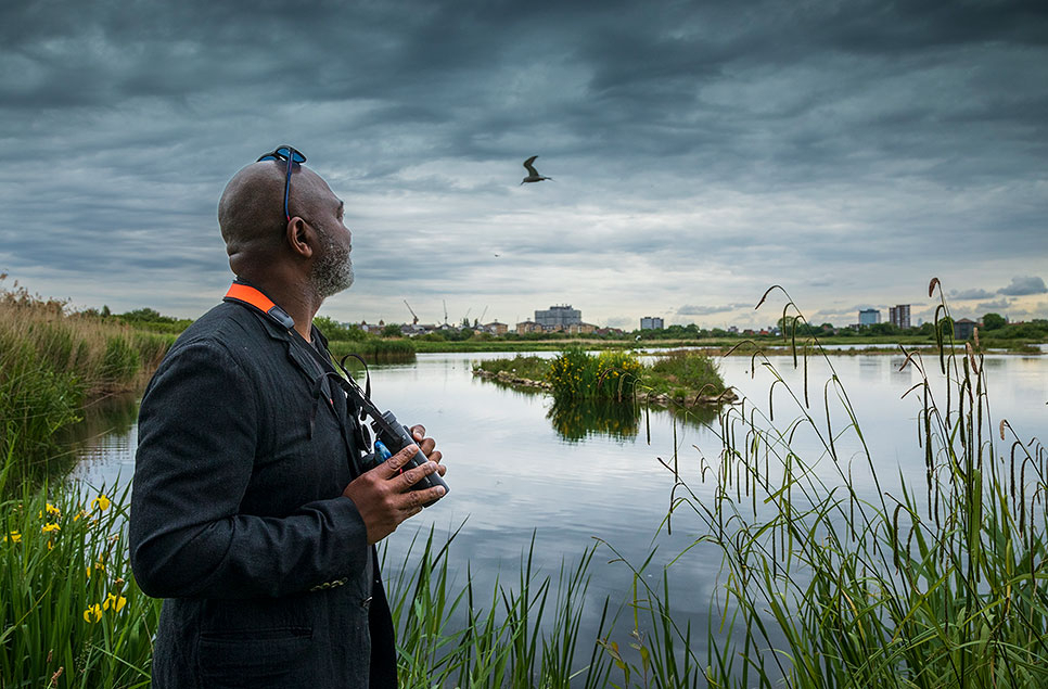 The Urban Birder Course - October (Sold Out)