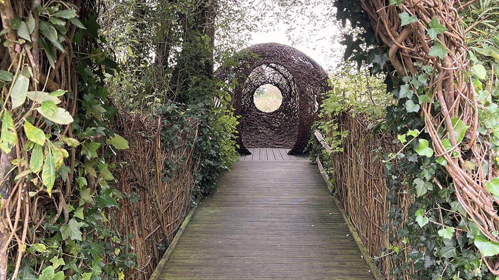 The boardwalk to the willow sphere at WWT Arundel