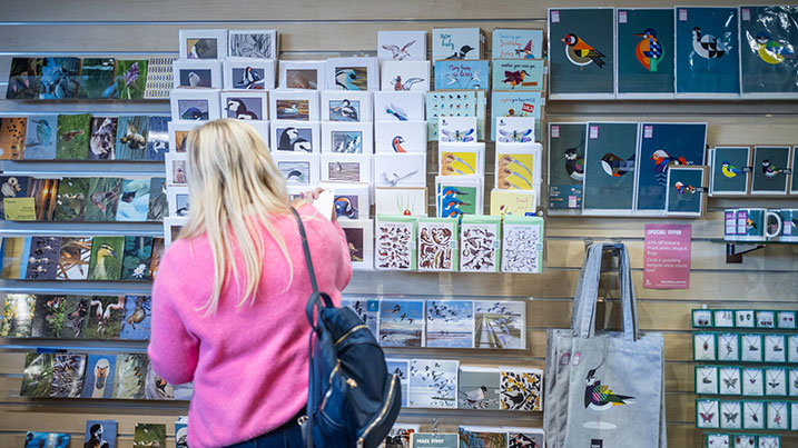 a customer shops at WWT Llanelli, viewing a selection of greeting cards