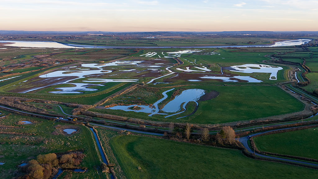 Over 370 hectares of coastal wetlands enhanced and restored in Somerset