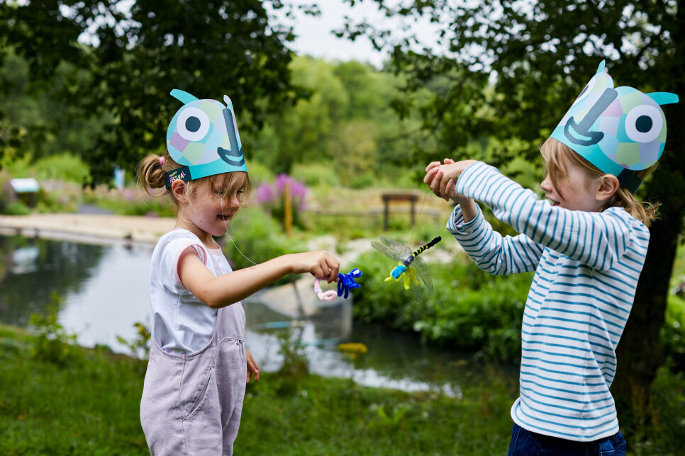 Fill your summer with flying colours as Dragonfly Festival returns