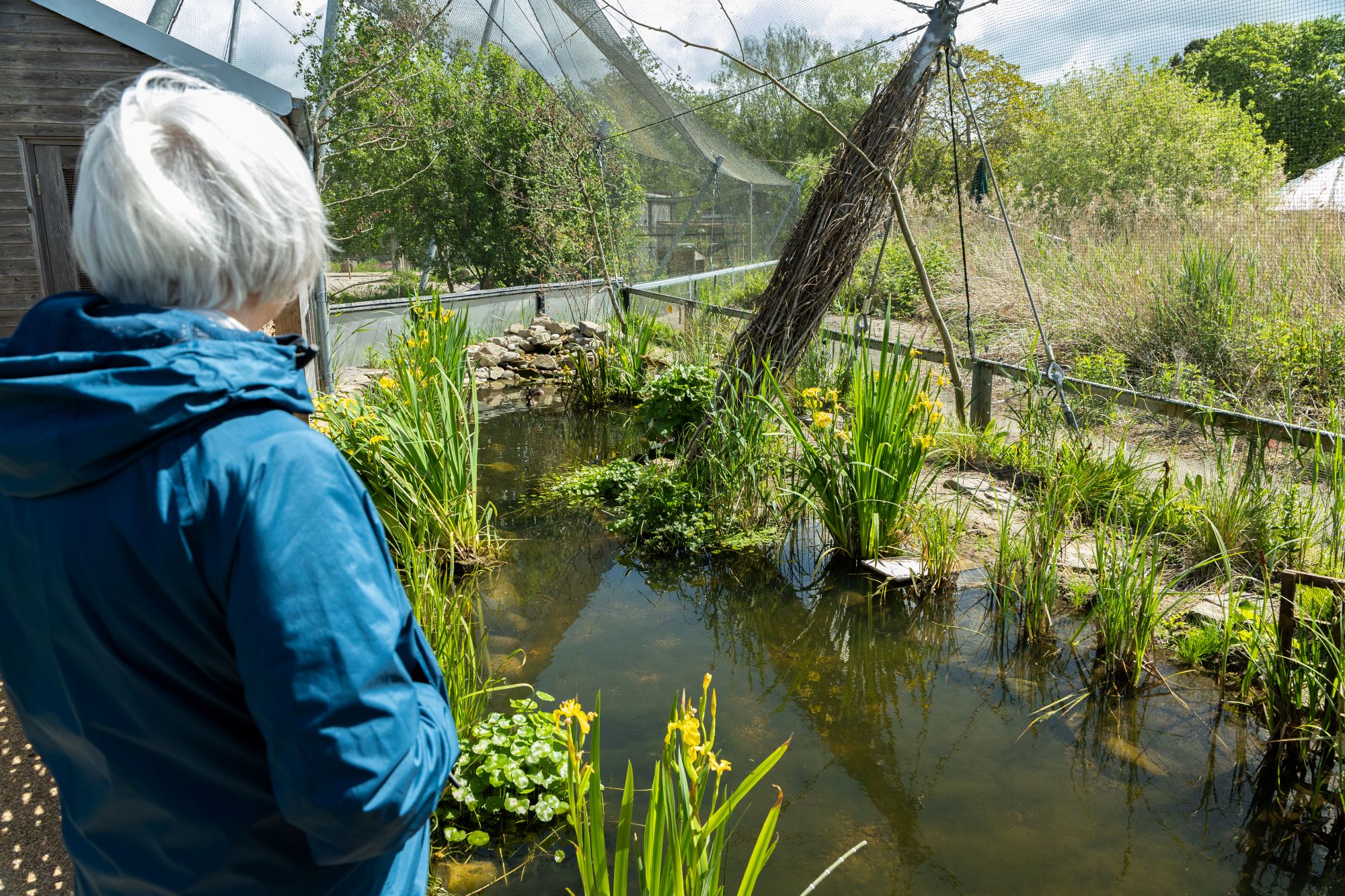 Soundscape Aviary now open at WWT Slimbridge