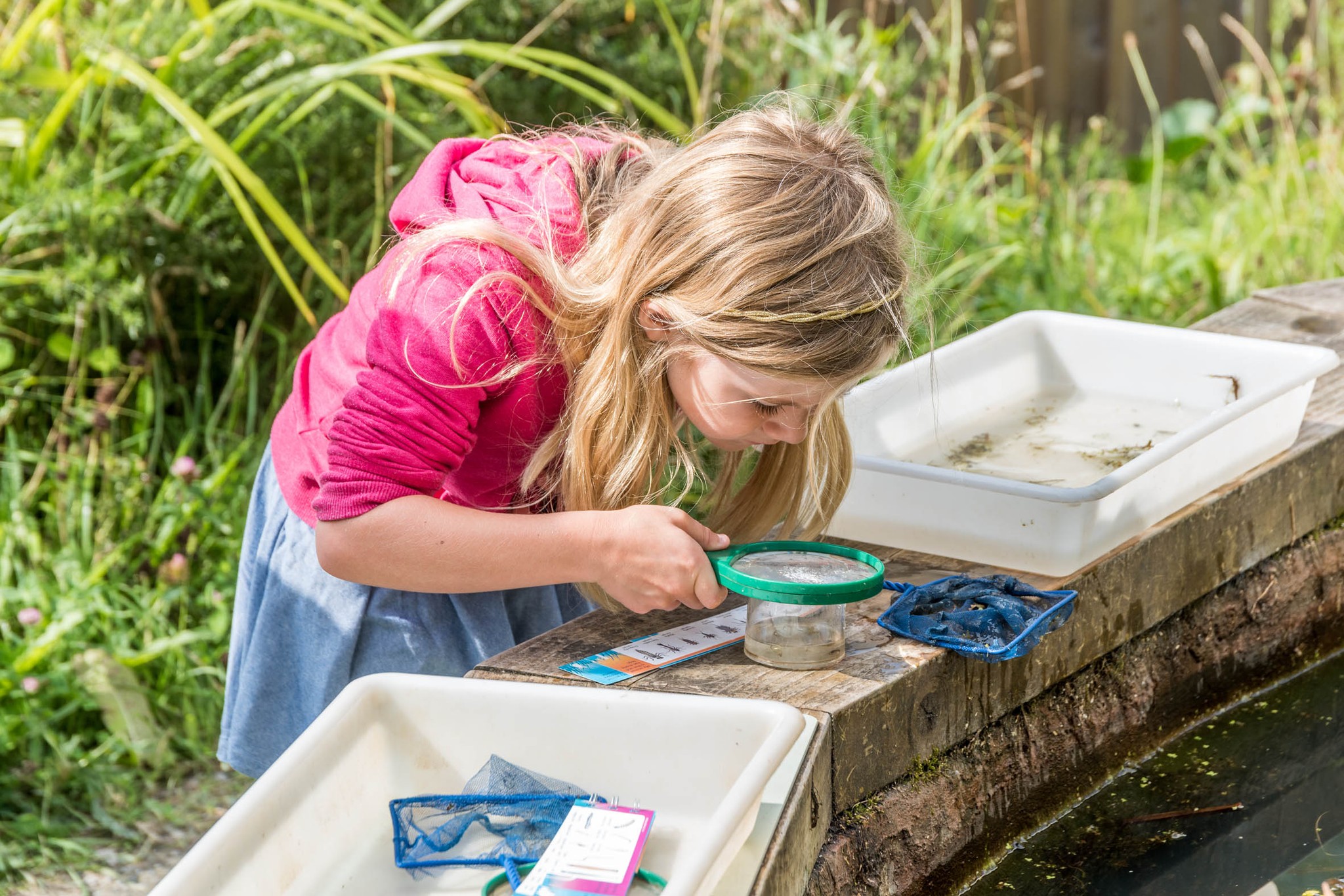 Pond dipping