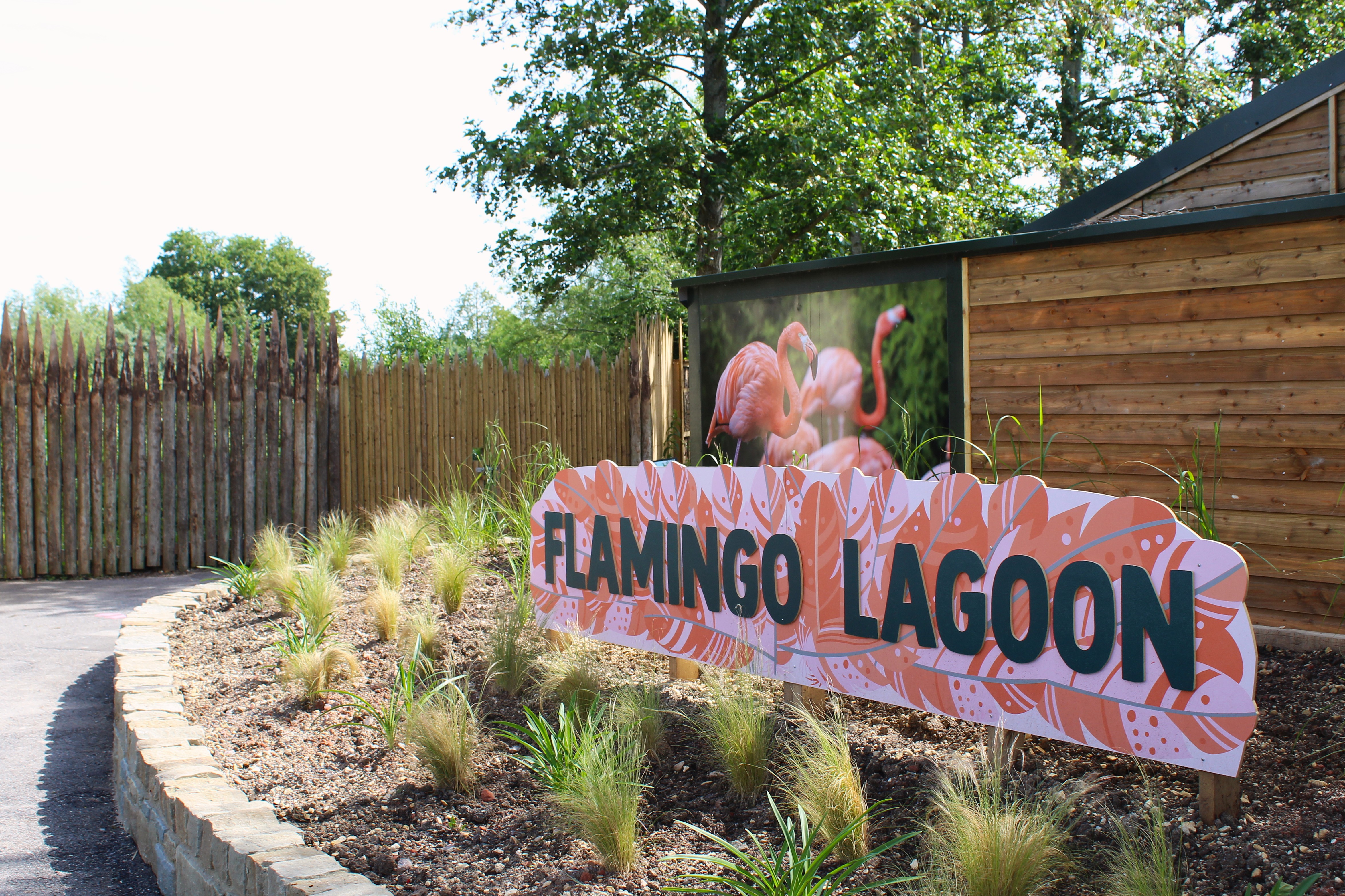 Flamingo Lagoon has had a facelift!