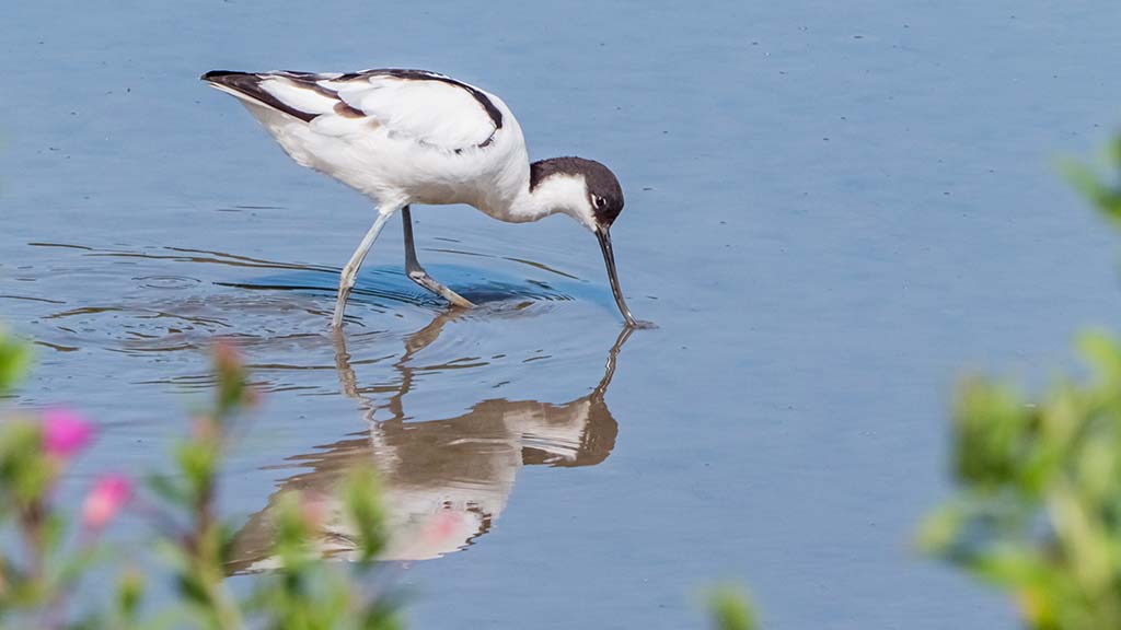 Spring and Summer Wetland Escapes