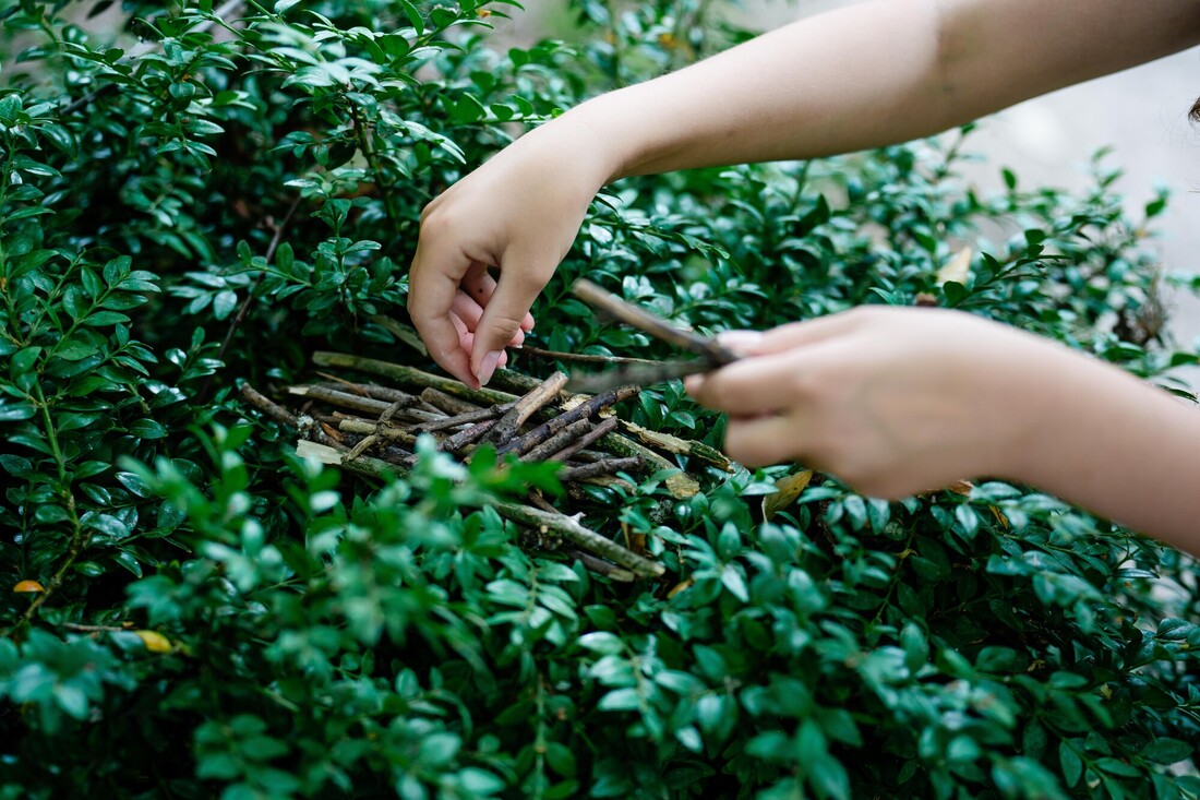 Natural print making