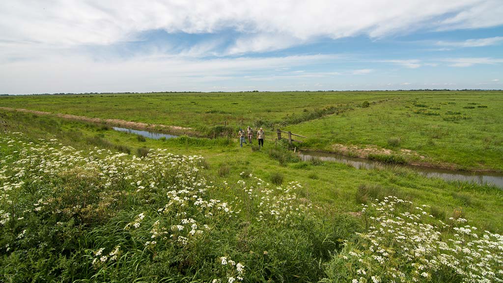WWT Welney early closure due to extreme heat