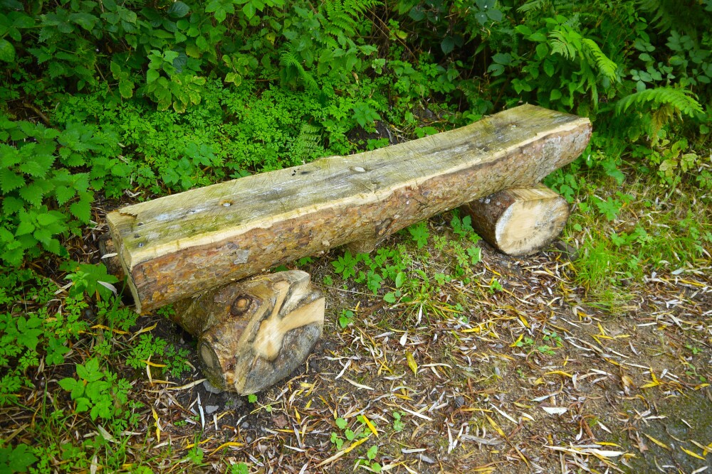 Remade in the Marsh: Creative Sustainability